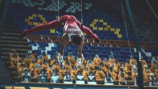 men's gymnastics selections 