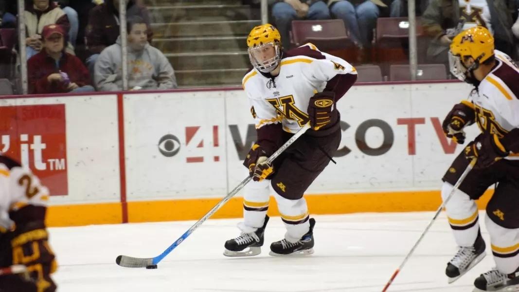 Minnesota's Erik Johnson